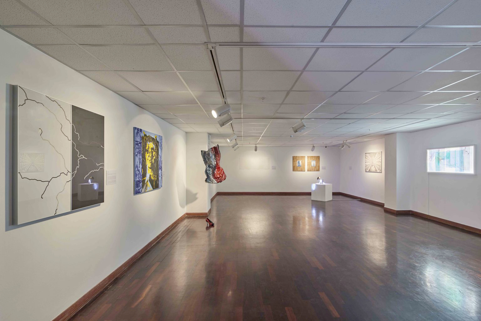 ICPNA Contemporary Art Prize · Lima, Peru · 2022